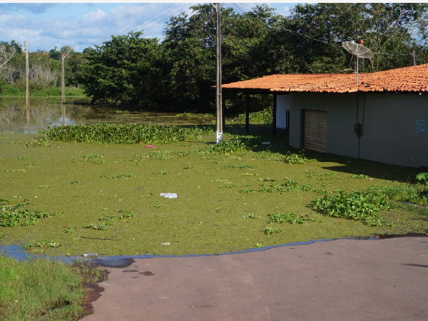 Prefeito Deibson Balé decreta estado de emergência em Trizidela do Vale após enchente provocada pela cheia do Rio Mearim