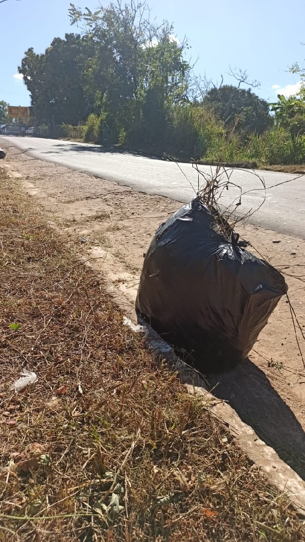 PREFEITURA TRABALHA NA LIMPEZA E CAPINA DE ÁREAS SEM AGREDIR O MEIO AMBIENTE E A SAÚDE DA POPULAÇÃO